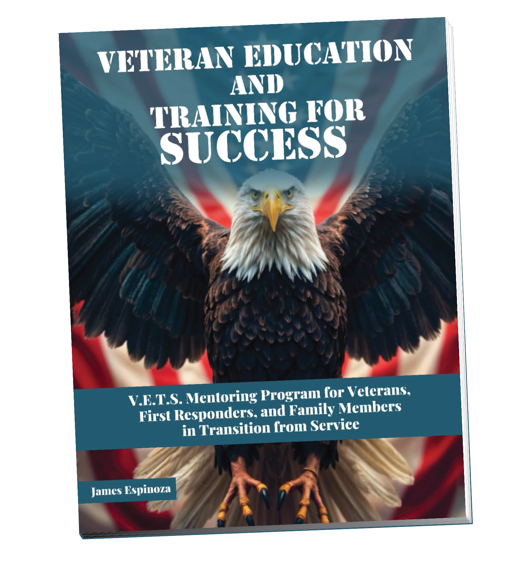 V.E.T.S. Mentoring Program Workbook